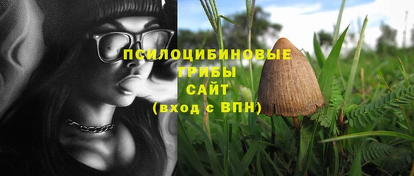 индика Вязьма