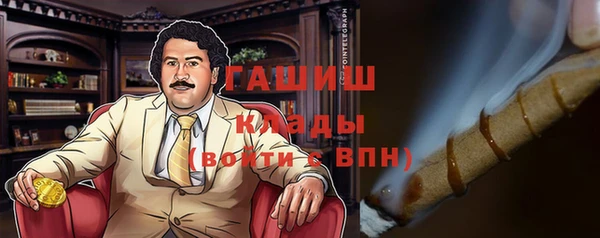 индика Вязьма
