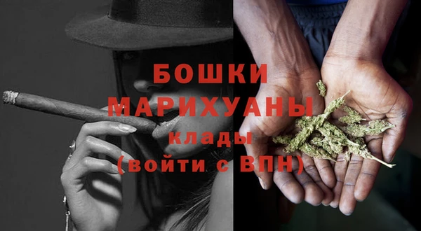 индика Вязьма