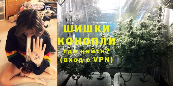 индика Вязьма