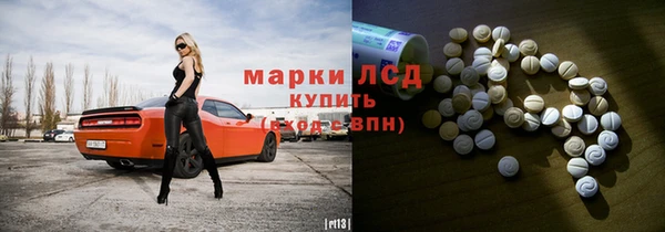 индика Вязьма