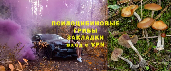 индика Вязьма