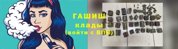 индика Вязьма