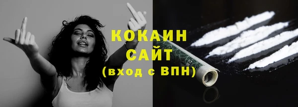 спиды Вяземский