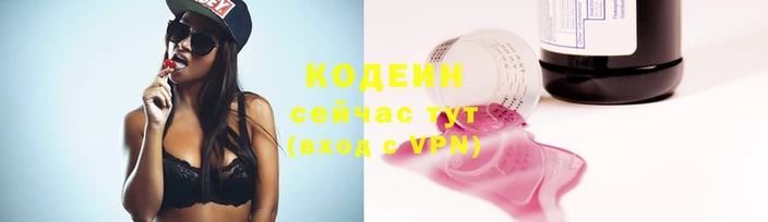 спиды Вяземский