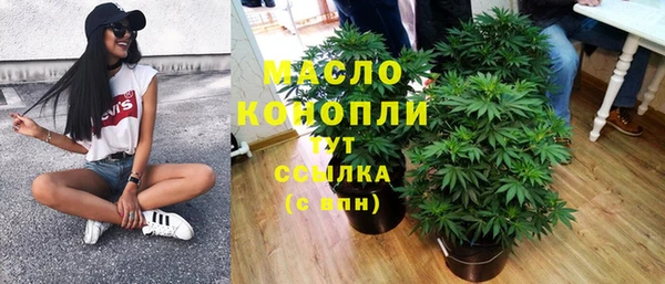 спиды Вяземский