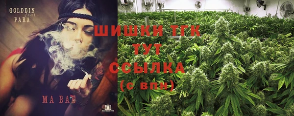 индика Вязьма