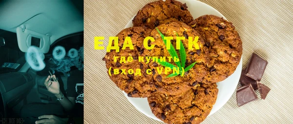 индика Вязьма