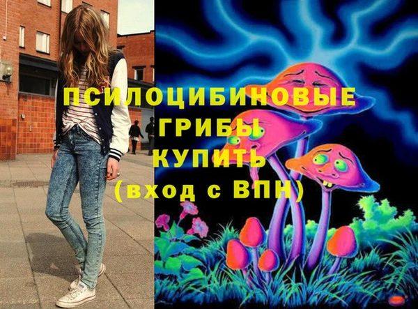 спиды Вяземский