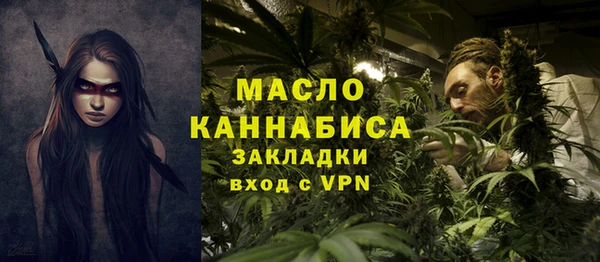 индика Вязьма