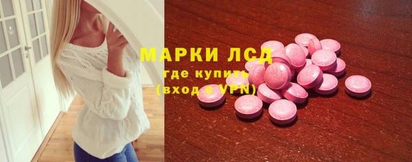 индика Вязьма