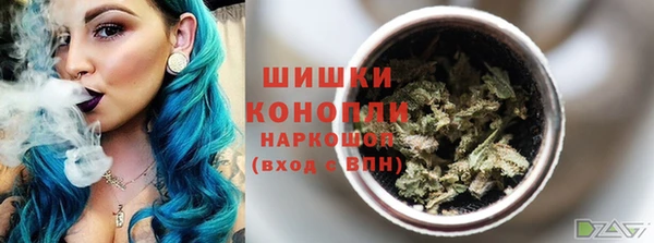 спиды Вяземский